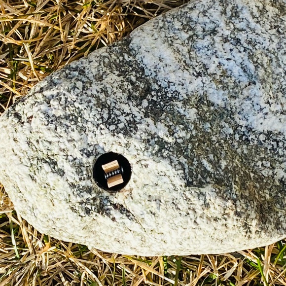 Granet Aquarium/Terrarium Rock w/Hole Drilled 4 Inserting Live/Artaficial Plants - Picture 9 of 16